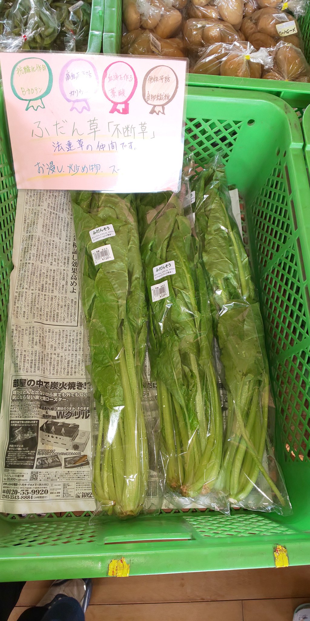 染谷農産物直売所 おはようございます 夏の葉野菜が少しずつ出てまいりました 不断草やカラフルなスイスチャードはほうれん草と同様に炒めたりすると美味しいですよ つるむらさきはおひたしにすると美味しい夏のネバネバ食材です オクラや長芋等と