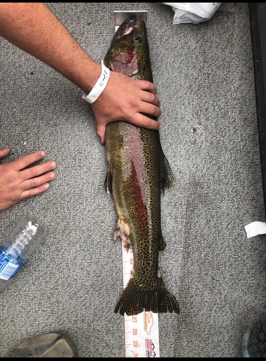 SportFishGuide tweet picture