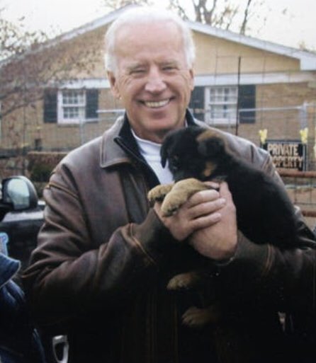 College Dems of MA tweet media