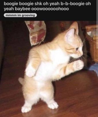 CaptainDumac's tweet image. how I feel when I slap the  buttons on my #GAMECLAM
#SummerGameFest