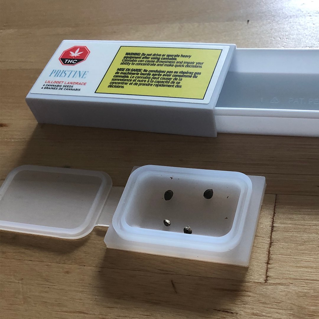 pristineseeds's tweet photo. Pristine Seeds are specially packaged in a silicone case within a hard plastic shell to ensure they're protected while in transit. To remove the seeds from the packaging, pinch the end of the container + slide the bottom out. Within the tray, you'll find your seeds safe + secure. https://t.co/cTwecDmdQ2