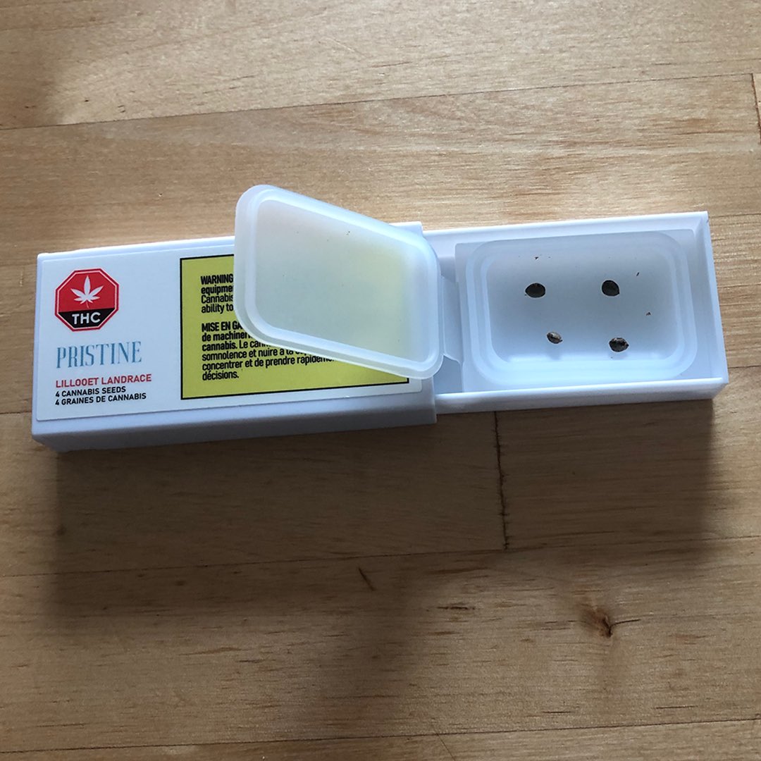 pristineseeds's tweet photo. Pristine Seeds are specially packaged in a silicone case within a hard plastic shell to ensure they're protected while in transit. To remove the seeds from the packaging, pinch the end of the container + slide the bottom out. Within the tray, you'll find your seeds safe + secure. https://t.co/cTwecDmdQ2
