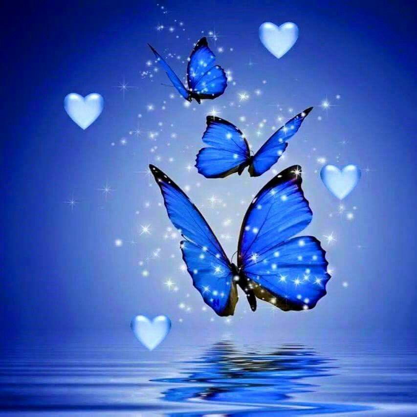 yvidalaqui2's tweet photo. @rootnk @Naranju3 @rozazalea @otrogoga60 @gonzalogobbi @ElderAcost @CoromotoCampo @RosaNegra_08 @EDITHLOPZMTZ @RalphGRoeske @YNHallak @nmc820206 @BenavidesAldana @MartaAvendao @MarcelaErcia @Yesus3000hotma1 @Sonia40933646 #ff MT @Naranju3: L@s recomiendo 
@rozazalea 
@otrogoga60 
@gonzalogobbi
@ElderAcost 
@CoromotoCampo 
@yvidalaqui2 
@RosaNegra_08 
@EDITHLOPZMTZ 
@RalphGRoeske 
@YNHallak 
@nmc820206 
@rootnk 
@BenavidesAldana 
@MartaAvendao 
@MarcelaErcia 
@Yesus3000hotma1 
@Sonia40933646 https://t.co/pHGFtedgZD