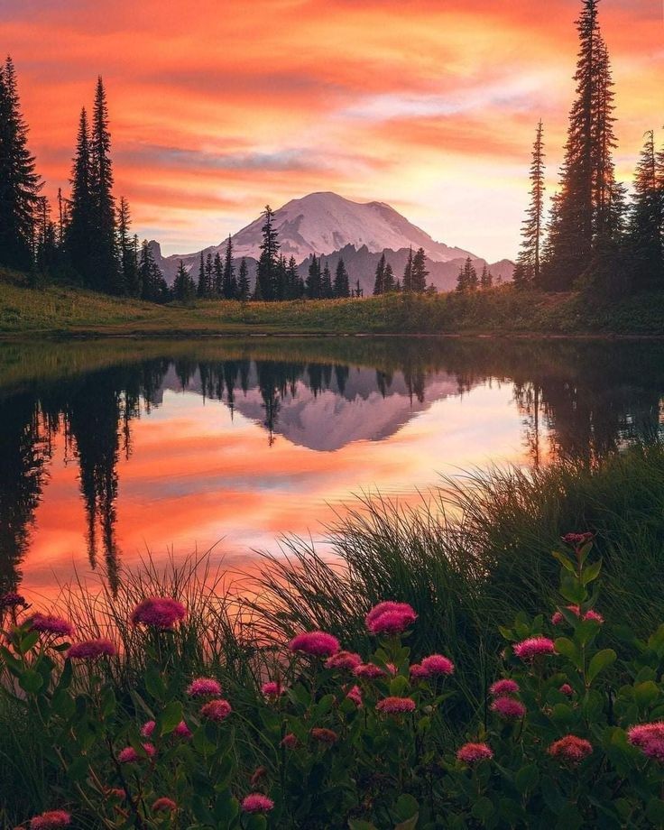 __peacepoet's tweet photo. Beautiful Weekend 🍃🌸
Spend it with love and Happiness ❤️ https://t.co/4TnZTfHXhR
