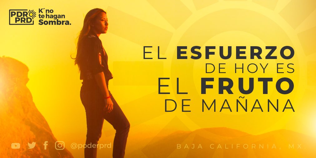 PoderPRD's tweet photo. ¡No te rindas, no te detengas! 💪
#SomosPoderPRD #PDRPRD #PRD https://t.co/2HtzGeqhzJ