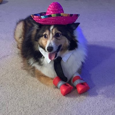 Kreneej05's tweet photo. #NewProfilePic https://t.co/TK5KMcjWMz