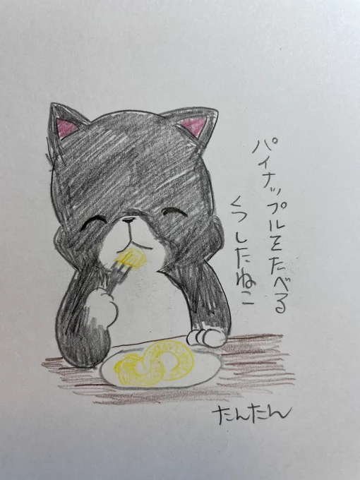 パイナップルを食べるくつしたねこ
3/3

#イラスト #猫 
