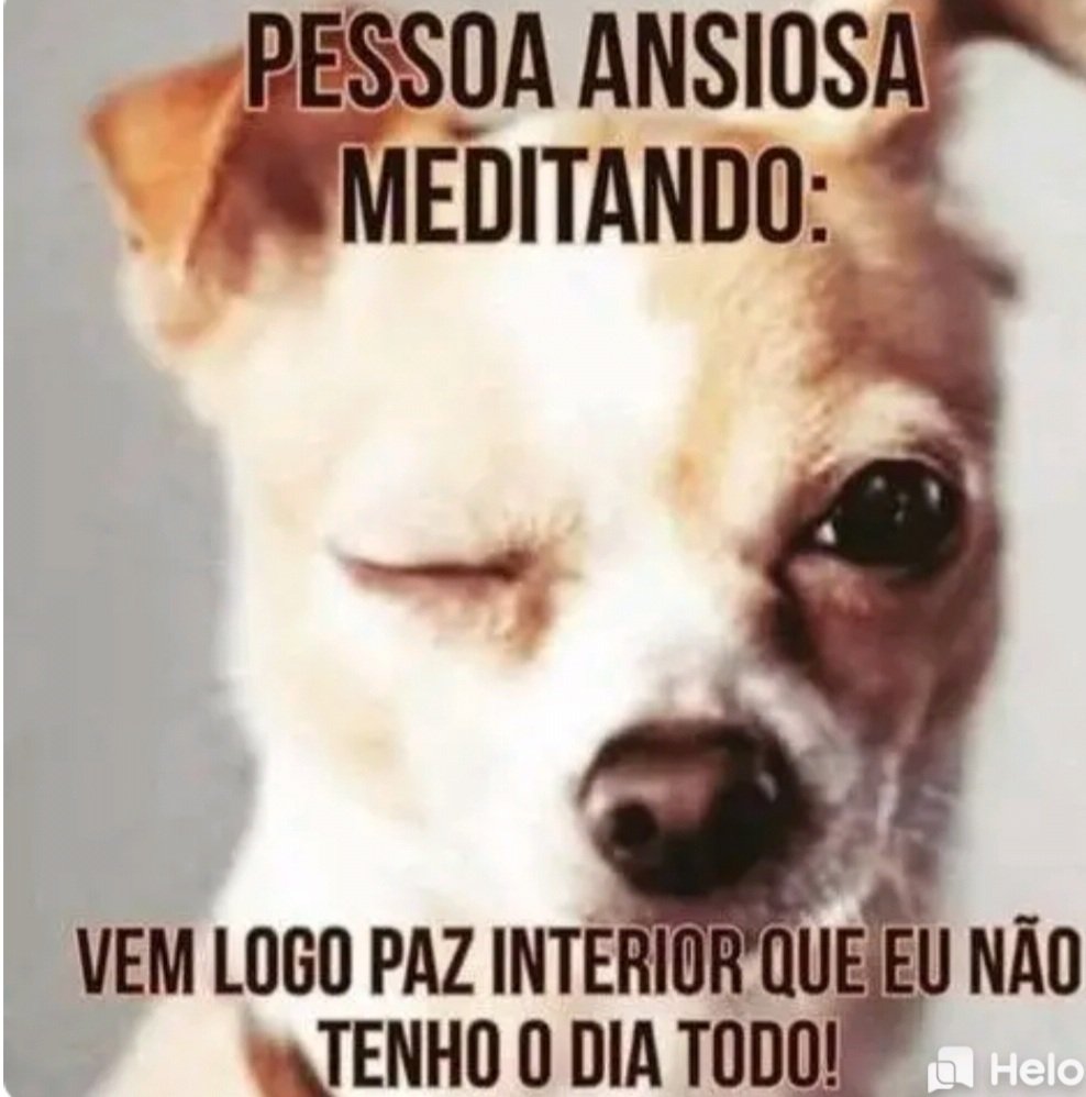 Caroline Freitas (@linefreitas_) on Twitter photo 