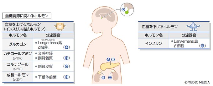 成長ホルモンのtwitterイラスト検索結果
