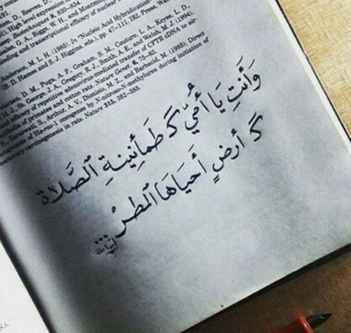 " كبرتُ ، ولا زلتُ أبحث في الزحام عن أُمي ، وأعبر الطريق ويدي بيد أُمي ، وأهرع إلى أُمي حين أخاف ، وألجأ لأُمي حين أحتار ، وأنطوي عند أُمي حين أحزن ، يكبُر المرء إلا عن حاجته لأمه 🖤
.