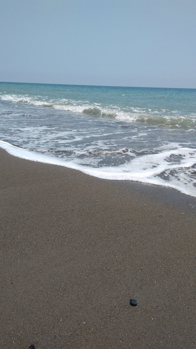 Çiçek (@cicekpnr_cicek) on Twitter photo 