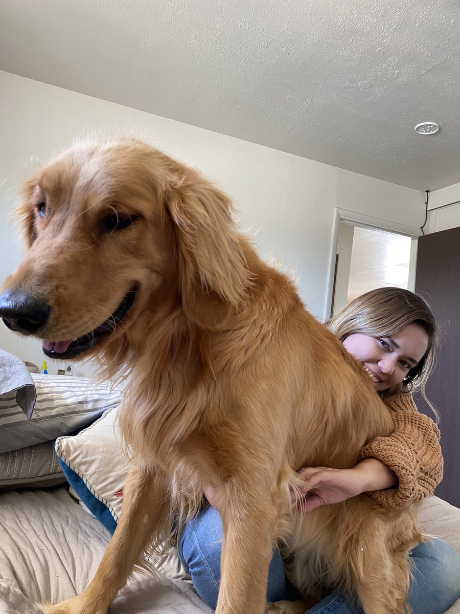 ffabobby's tweet photo. My pup is missing help me find him Twitter. His name is Brew missing in Fallon. https://t.co/v7F7CesXXa