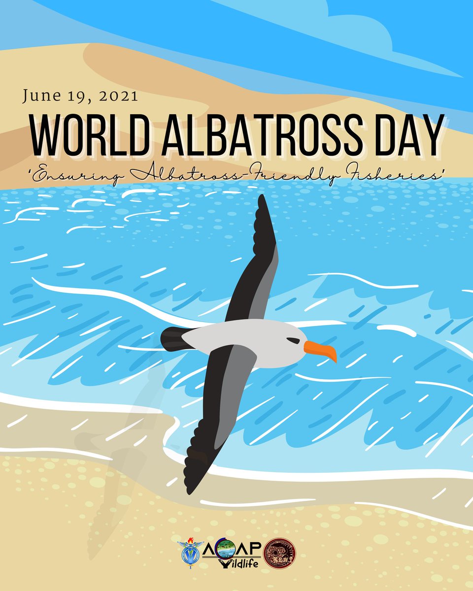 CLSU_VC10's tweet photo. This day honors these magnificent birds and highlights the ongoing conservation crisis they face.
#VC10 #NEWTNEB #ACAPWildlife #WorldAlbatrossDay2021 https://t.co/9hUGzDbutv