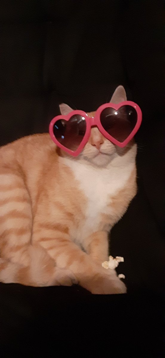 𝕋𝕙𝕖 𝕊𝕦𝕓𝕦𝕣𝕓𝕒𝕟 𝔹𝕒𝕥𝕞𝕒𝕟 tweet media