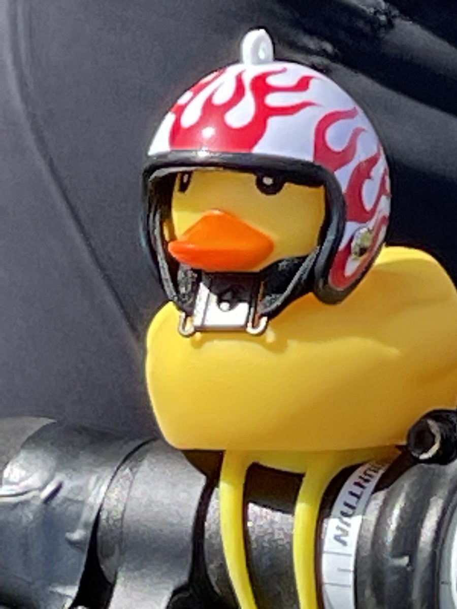 Peter Antle (he/him) tweet media