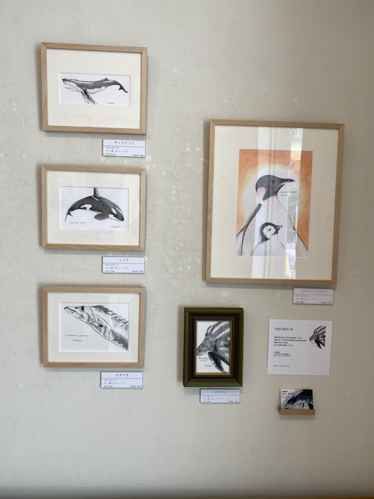 たむらあさいち على تويتر ギャラリーニイク Gallery219 でのグループ展3日目です よろしくお願いします ちょっと天気は良くないですが表参道近くに御用の方は是非御覧下さい 御用のない方も表参道はキラキラの街で面白いですよ たむらの目がチカチカしてた