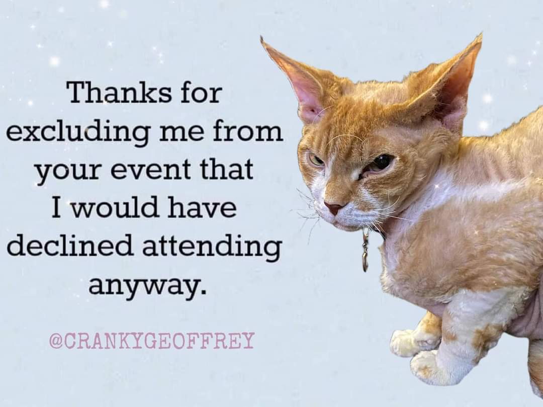 CrankyGeoffrey's tweet photo. Like I'd be caught dead with you anyway!
#CatsOfTwitter
#notinvited #cat #catmemes #notinvitedtotheparty #idontcare #crankycat #noinvitation #dailymemes #sassycat #sassyquotes #funnycats #meow https://t.co/XbH44grqC3
