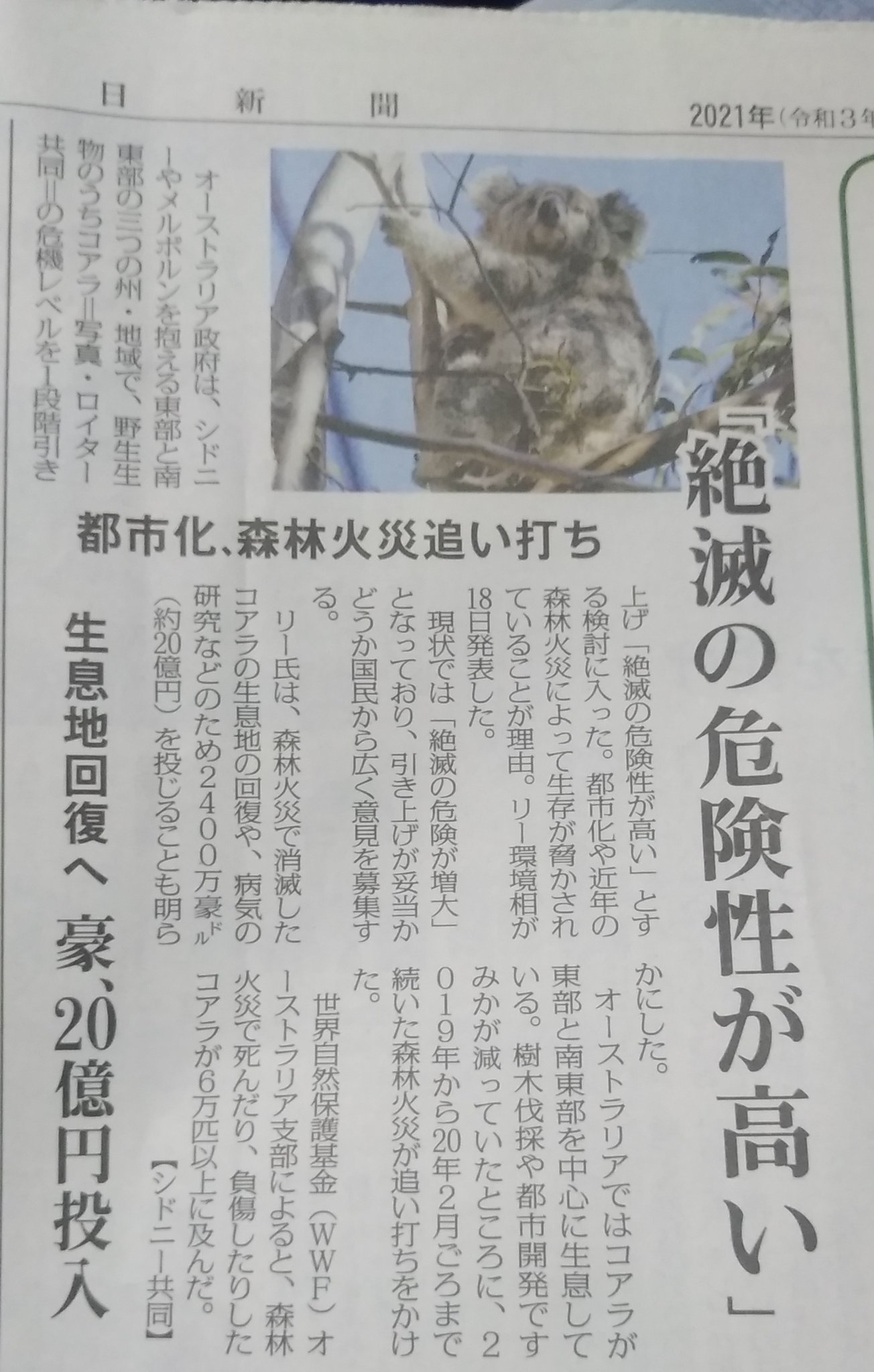 تويتر オーストラリア政府観光局 على تويتر ふわふわ3人組のハグショットに シドニー Sydney Sider 郊外にあるオーストラリア爬虫類公園 Austreptilepark は00匹以上の野生動物が勢ぞろい ここで絶滅危惧種を守る動物保護団体 オージー アーク