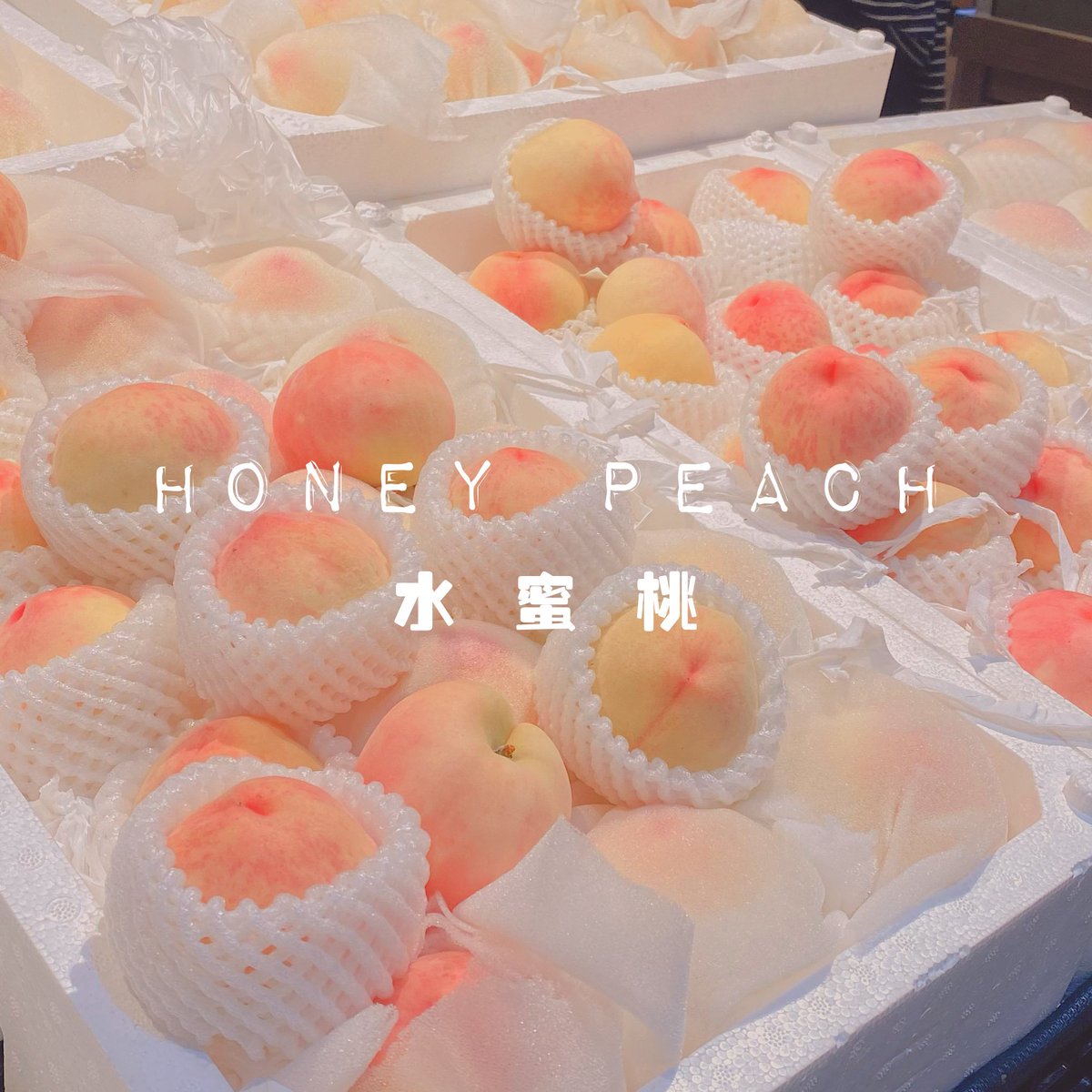 Coolest10021's tweet photo. 夏天 https://t.co/GZUXiDLlpA