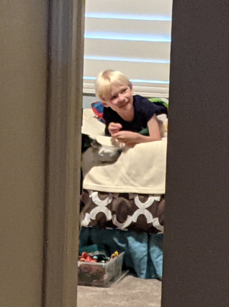 riverthepuppy's tweet photo. Story time!

(Off camera - tiny person's adult caretaker reading a story, kitty on the bed next to tiny person, and another very much tinier person behind me.) https://t.co/QAATSF7lhl