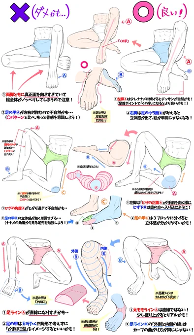 『男性の足の曲げ方と筋肉の膨らみ図解』 