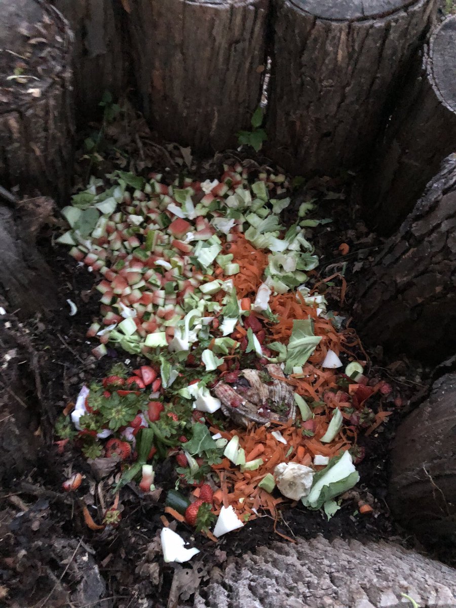 leib_rick's tweet photo. It’s ⏰ to add some browns! #zerowaste #backyardcompost THX for the inspiration @CommunitiesONHS &amp; @vrydberg https://t.co/tcjm4pHt8c