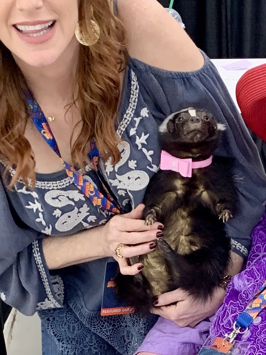 Hanging out #summercon in #puyallup with my new bff because well, skunks in bow ties. Can you feel me?