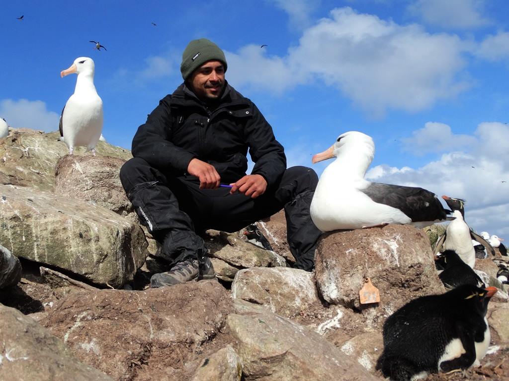 DGianuca's tweet photo. Today is #WorldAlbatrossDay2021, a day to honors these magnificent birds, their importance, and highlights the conservation crisis they face. I'm very rewarded for working to understand and protect these birds. #WAD2021 #WorldAlbatrossDay @AlbyTaskForce @ProjetoAlbatroz https://t.co/W28vTWV64x