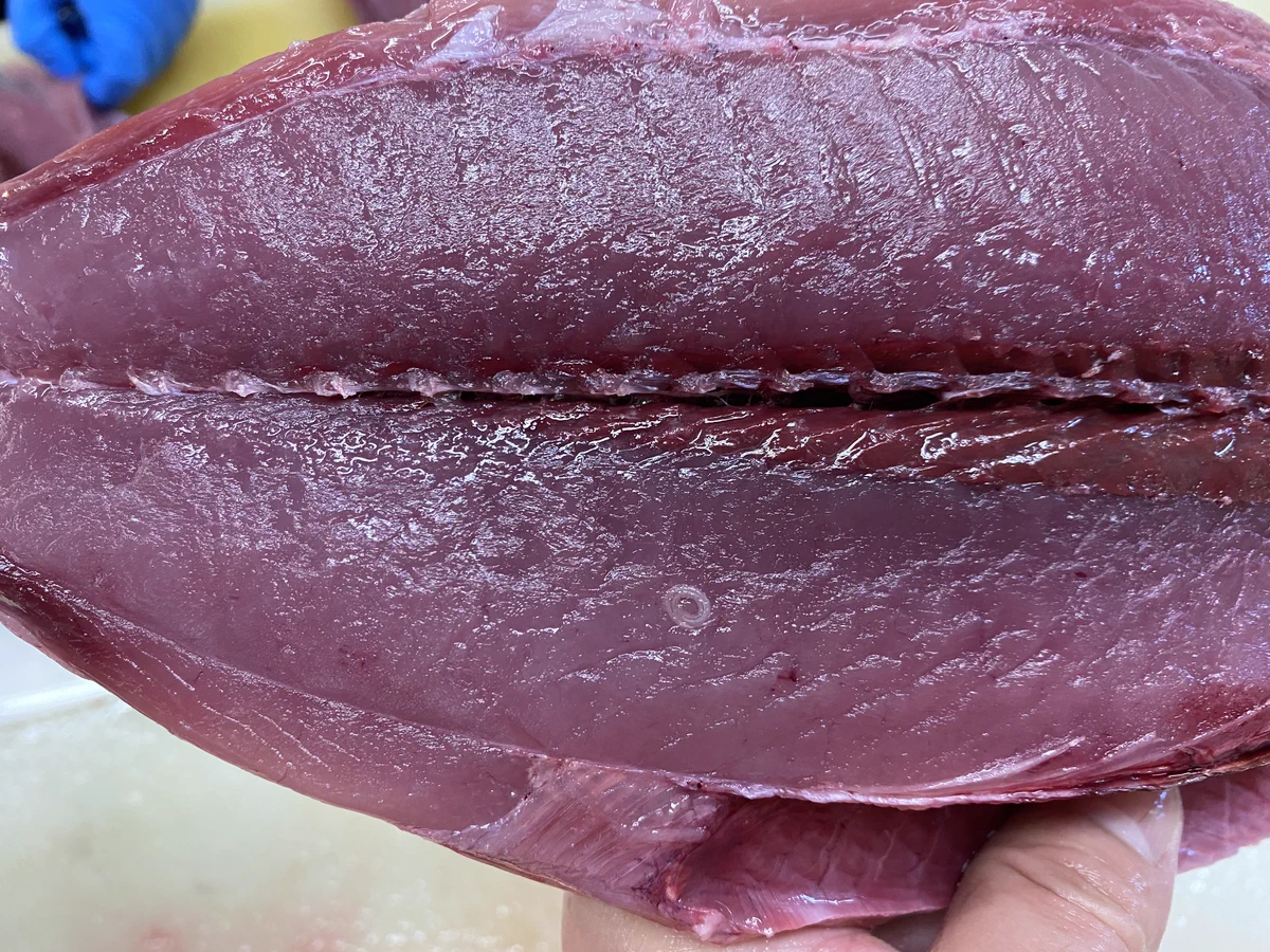 アニサキスについて正しい知識を得よう！魚の死後に身に移るというのはガセネタです！