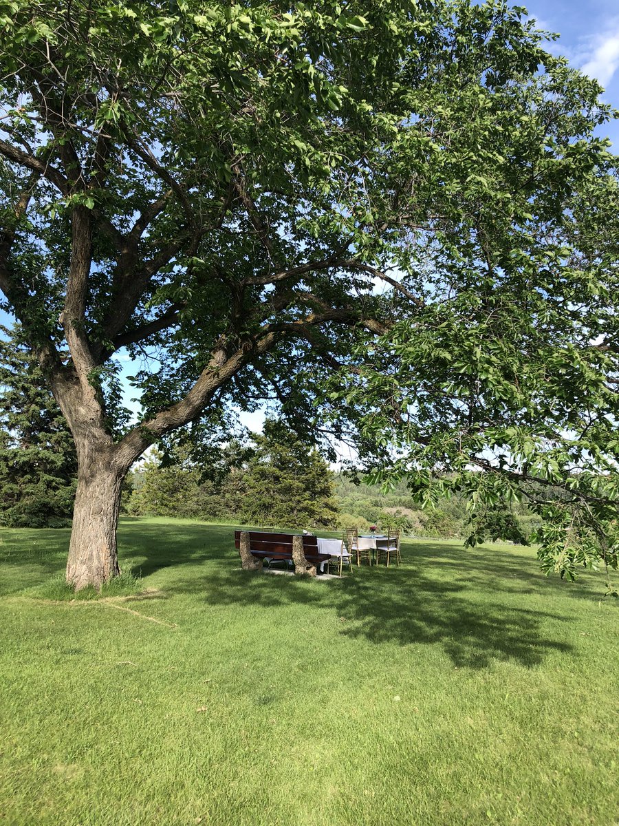 Kim Petrin tweet media