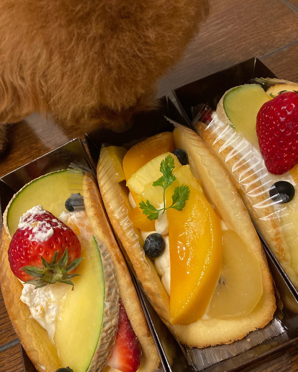 chiko_choko1's tweet photo. お土産のスィーツ❣️
僕も食べたいとテーブルの上に、、ペロリする前に抱っこされちゃったのは、言うまでもなく、、とほほ！
#チョコモモ
#スィーツ
#お土産 https://t.co/HJ2xsmESL8