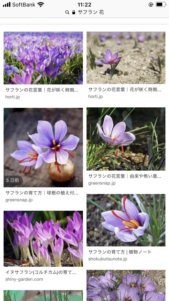 まなな Lrez8jxzt1cjbzg Twitter まなな Lrez8jxzt1cjbzg Twitter