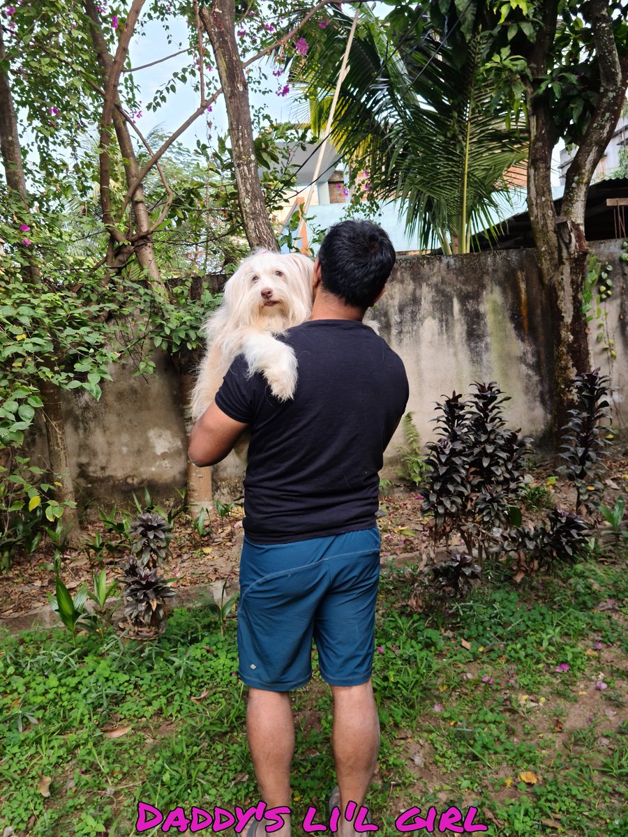 mehtaz22's tweet photo. Happy Father's Day to the world's most PAWSOME dads @TheJohnAbraham &amp; @jem3811 🐾❤ 
#HappyFathersDay #dogdad

@VenetiaSarll 
@JohnAbrahamCLUB https://t.co/CQPUQiDb0d