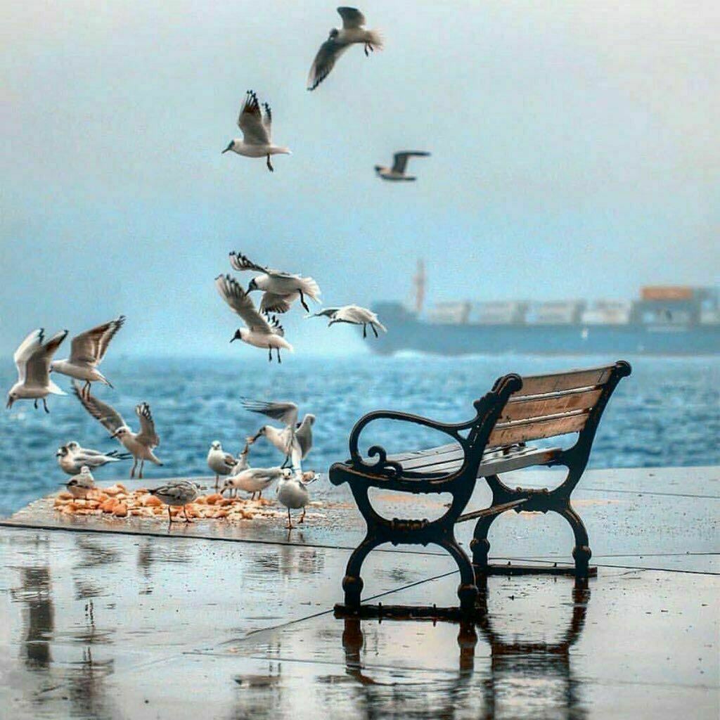 سقطتُ مراراً .. مراراً نهضتُ
لأركـضَ أسرعَ ممّا ركَضـتُ 

فلا وقتَ عندي للَـومِ الحياةِ 
فكم قد بكيتُ، وكم قد ضحكتُ

وكم قَد كُسِرتُ، فلملمتُ رُوحي..
بصَمتٍ، فلمْ يُدرَ أنّي كُسِرتُ
.