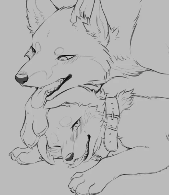 めすいぬwip 