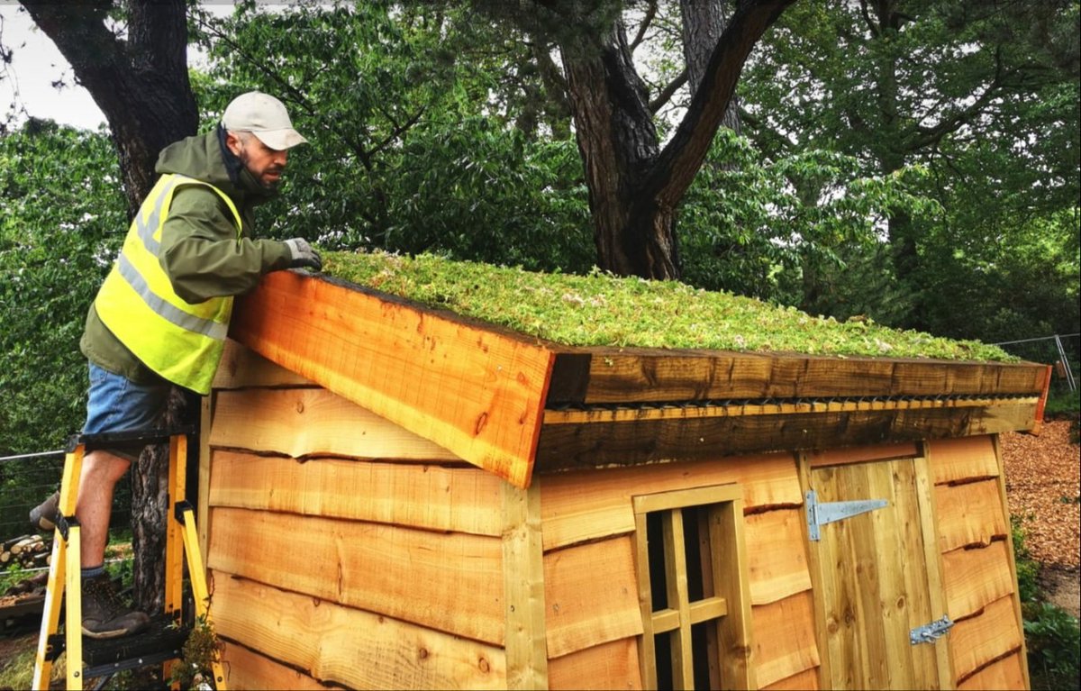 AndyCountryside's tweet photo. I built a green roofed shed for #RHSWisley in their new gardens due to open next week. Very fortunate to get a sneak preview. 🙂 https://t.co/hu4V53bBNR