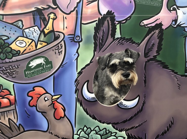 Happy Father’s Day all!  #Southsea farmers market today, you’ll find all sorts of produce there, cheeses <a href="/LyburnCheese/">Lyburn Cheese</a>, pies <a href="/FNKpies/">FNK pies</a> , meats <a href="/AmbroseSausages/">Ambrose Farm Produce</a> trout <a href="/hampshiretrout/">Butler Country Estates</a> and a little tipple from #dampneys plus more @HantsFarmersMkt