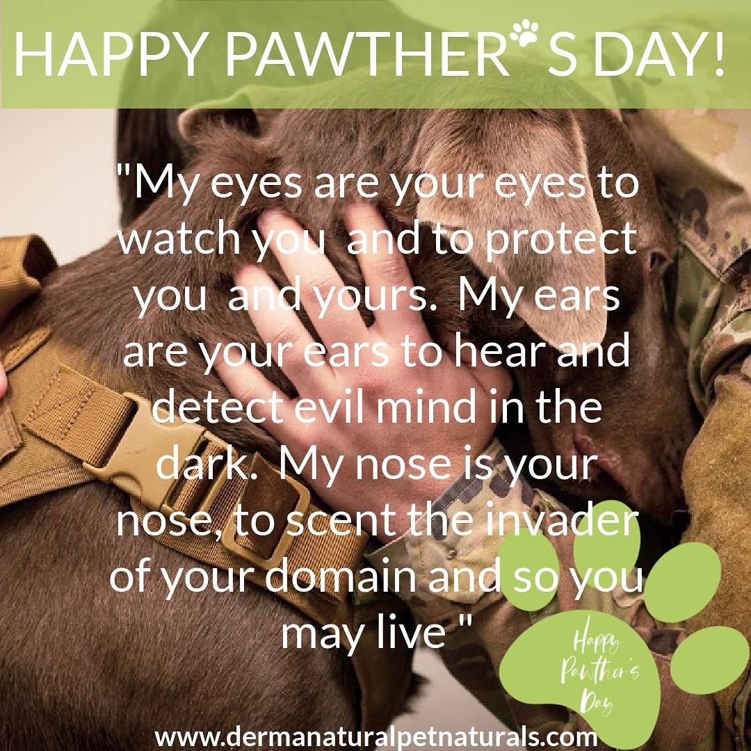dermanaturalpet's tweet photo. 🐾🐶Happy Pawther🐾 Day🐶🐾
#Pawther🐾day #ecofriendly are #ecofriendly #zerowaste #sustainable #sustainability #eco #gogreen #sustainableliving #. #plasticfree #nature #savetheplanet #environment #recycle #vegan #green #organic #natural #climatechange #ecofriendlyproducts https://t.co/Qh3UgCFz0G
