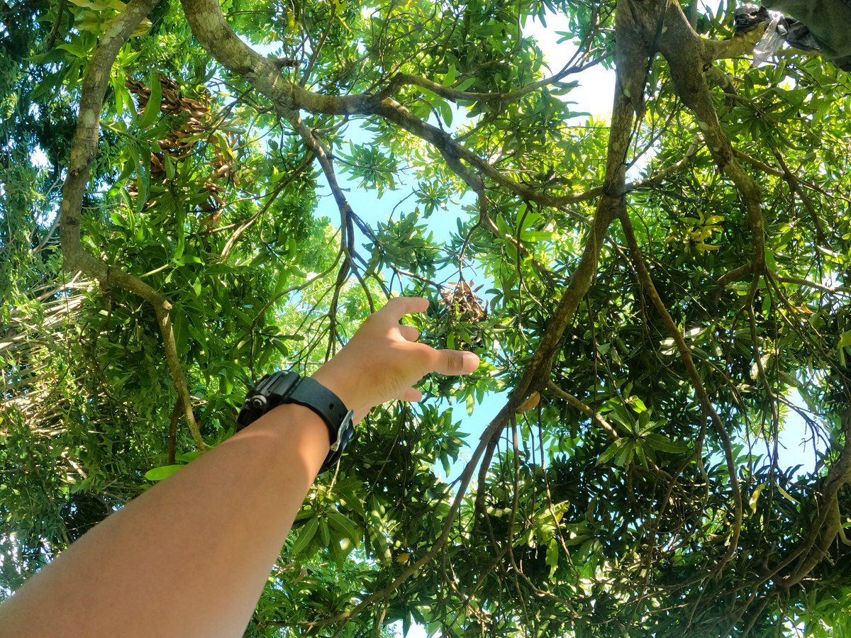 dandsdep's tweet image. #goproject