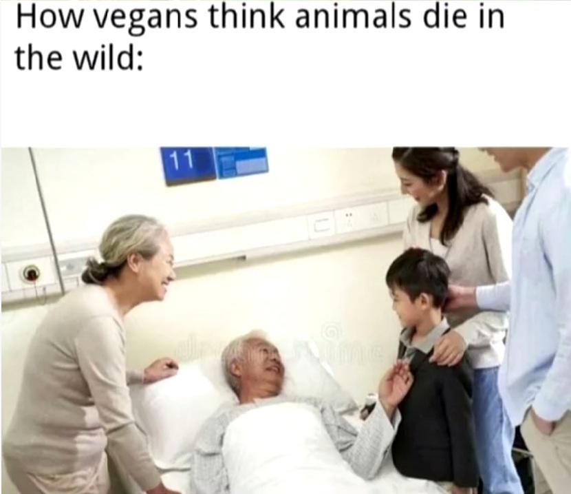 memescentrai's tweet photo. They don't die peacefully https://t.co/1XczCXbnv4