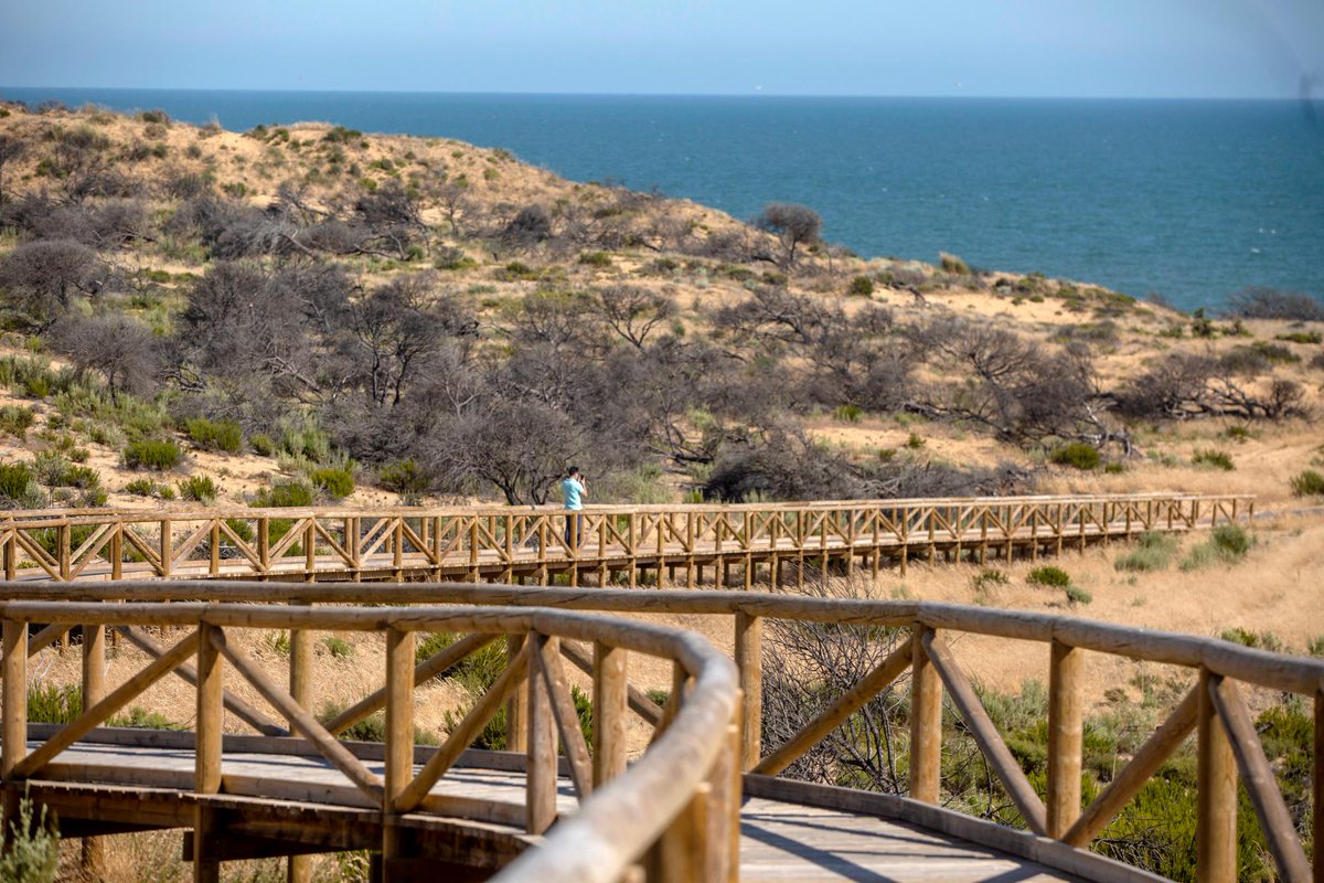 Plan_INFOCA's tweet photo. Buena mañana de domingo a todos. 
📌 Te proponemos visitar la Cuesta de Maneli, en #Almonte (#Huelva), un balcón al atlántico que la @AndaluciaJunta rehabilitó tras el #IFLasPeñuelas de 2017. La actual pasarela se inauguró en junio del pasado año.

☎️ único de emergencia 112. https://t.co/kFBISNXv1g