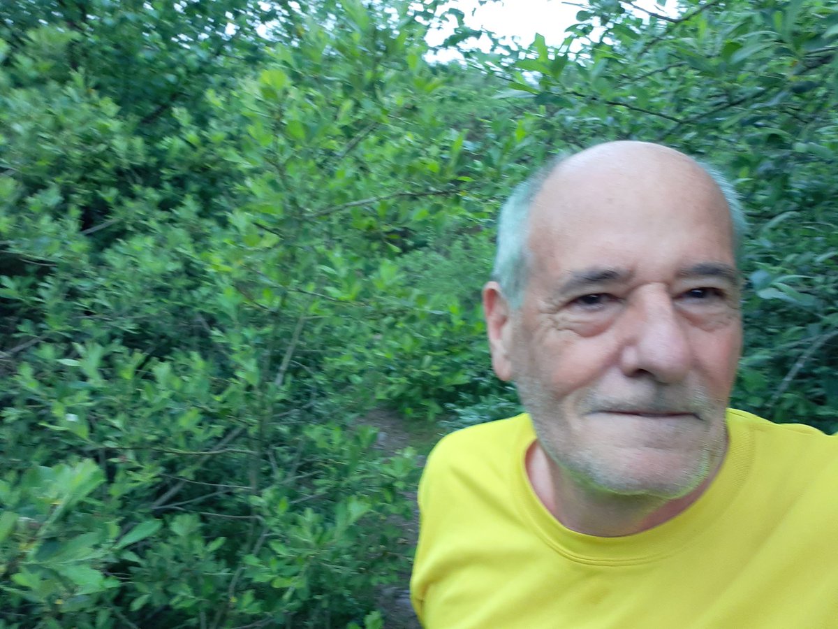 Edward Chapman tweet media