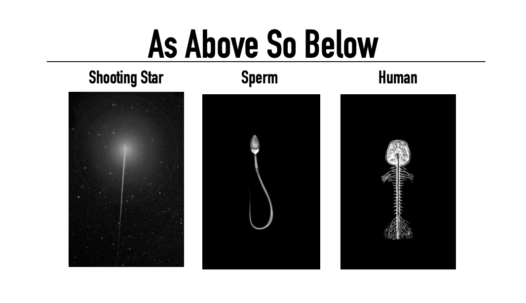 As_above_So_me's tweet photo. 古代の賢人は人間を「星の子」と呼びました。

それは神聖な寓意や、曖昧な神話的な意味ではなく、スケールを超えて現れるはっきりとした「原理」を表した言葉。 https://t.co/r9FUDwsMrJ