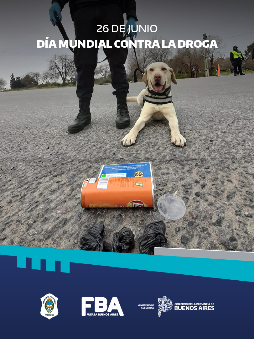 A la droga la combatimos entre todos. 

¿Tenés sospechas? No dudes en denunciar a través del 911.

Estamos para cuidarte.