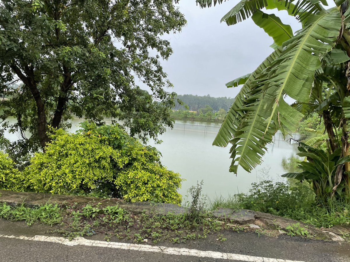 #Jharkhandpride ! Fisheries at top in Ranchi, training institutes for farmers to enhance the production with right quantity of protein and size of feed for fishes. A great initiative of government in making of #AtmanirbharBharat 

@Badal_Patralekh 
@nisha_singhmarr 

#joharbharat