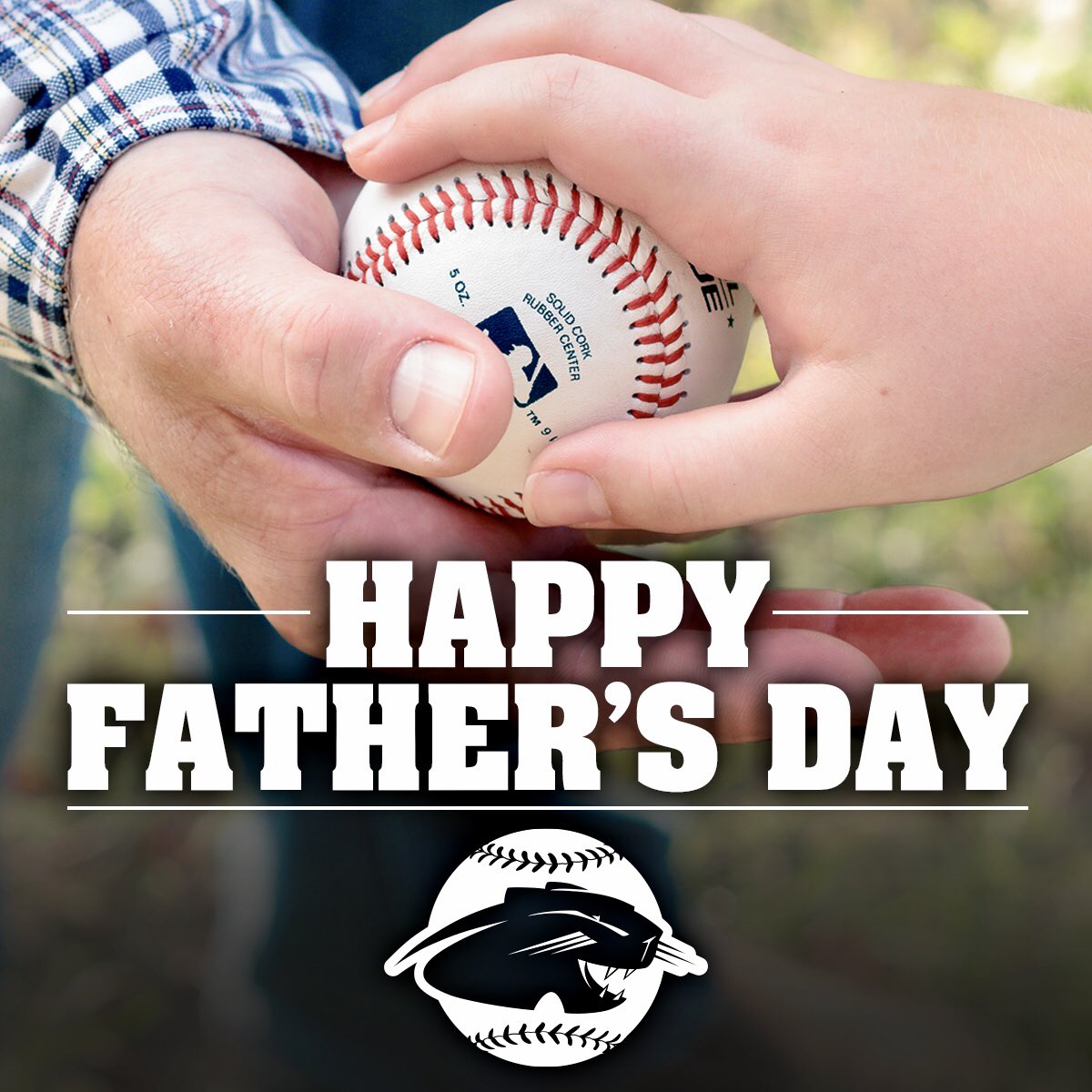 #HappyFathersDay to all the fathers, baseball dads, coaches & volunteers. Relax & enjoy your day but don't forget, we still have a lot more #baseball to play!

#midlandpark #midlandparkbaseball #panthersbaseball #nj #njbaseball #panthers #midlandparkpanthers #fathersday