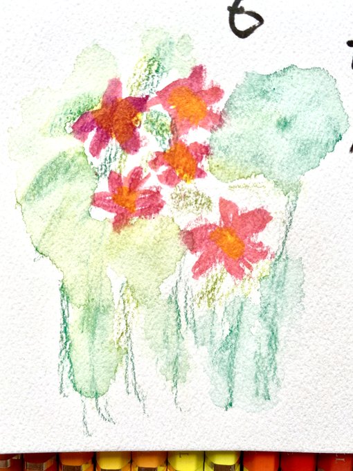 おしろい花のtwitterイラスト検索結果 おしろい花のtwitterイラスト検索結果