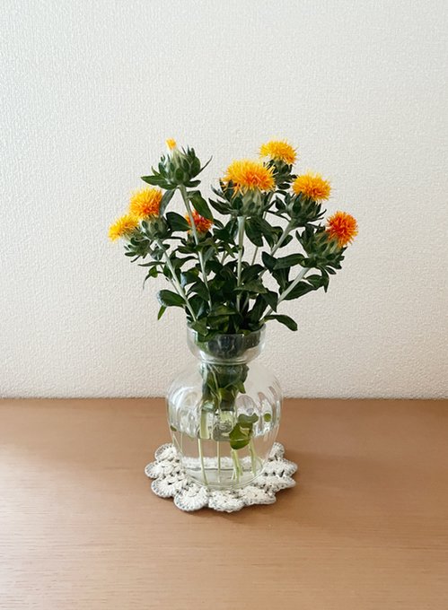 「植木鉢 花瓶」のTwitter画像/イラスト(人気順)