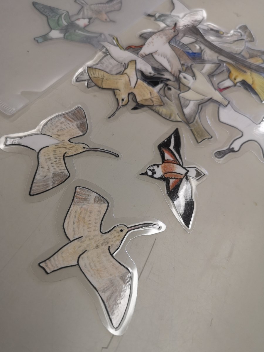 葛西臨海公園鳥類園スタッフ ちょっと早いけど 秋の展示にむけて作成中 鳥の種類 わかってもらえるといいなぁ 葛西臨海公園鳥類園スタッフ ちょっと早いけど 秋の展示にむけて作成中 鳥の種類 わかってもらえるといいなぁ