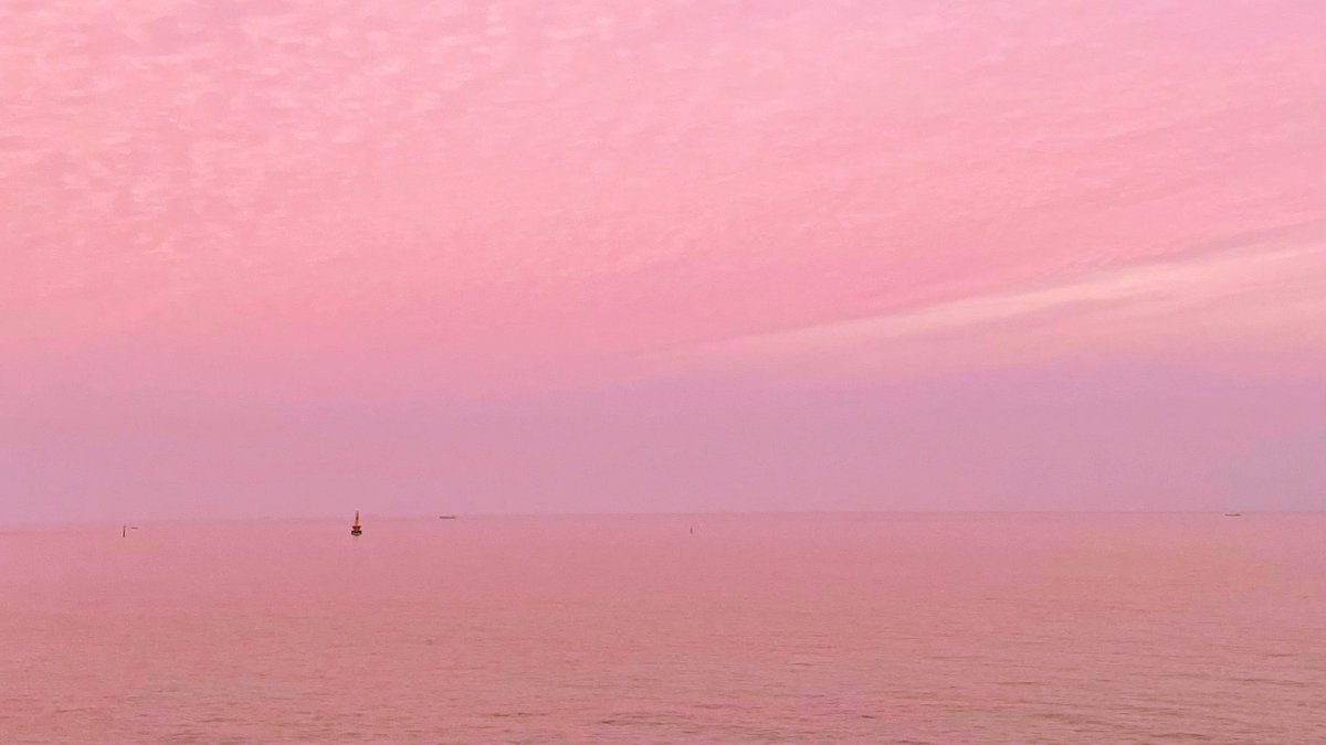 📍부산여행 일주일동안 뿌신 식당과 카페 정리해보는 타래 

진짜 .. 한끼한끼 기영이 빙의되서 식사했으니까..